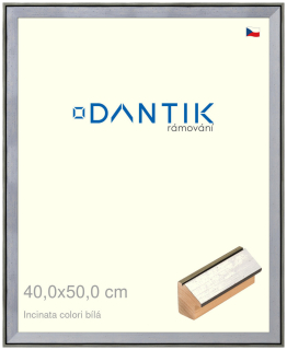 DANTIK rám na obraz 40x50 | INCLINATA colori Bílá (Plexi Čiré)