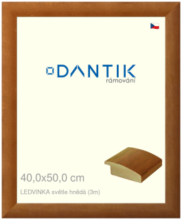 DANTIK rám na obraz 40x50 | LEDVINKA světle hnědá (Plexi Čiré)