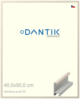 DANTIK rám na obraz 40x50 | ALU Dýha slonová kost (Plexi Čiré)