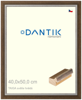 DANTIK rám na obraz 40x50 | TAIGA sv.hnědá (Plexi Čiré)