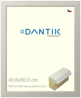 DANTIK rám na obraz 40x50 | WOODLINE bílá prodřená (Plexi Čiré)