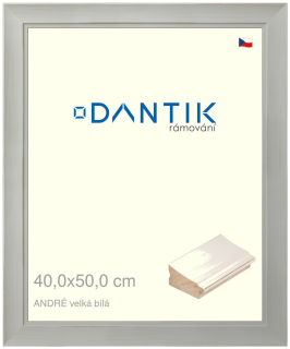 DANTIK rám na obraz 40x50 | ANDRÉ velká Bílá (Plexi Čiré)