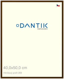 DANTIK rám na obraz 40x50 | ALU Hnědá umbra broušená (Plexi Čiré)