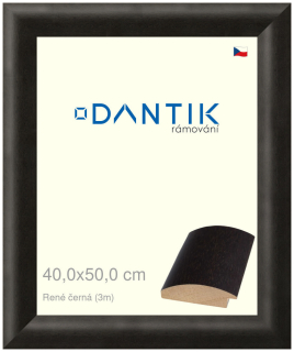 DANTIK rám na obraz 40x50 | René černá (Plexi Čiré)