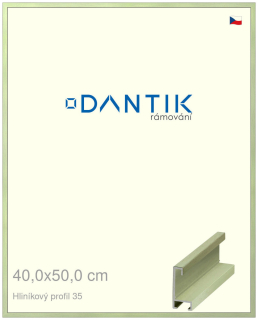 DANTIK rám na obraz 40x50 | ALU Dýha barevná zelená pastel (Plexi Čiré)