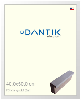 DANTIK rám na obraz 40x50 | FC Bílá vysoká (Plexi Čiré)
