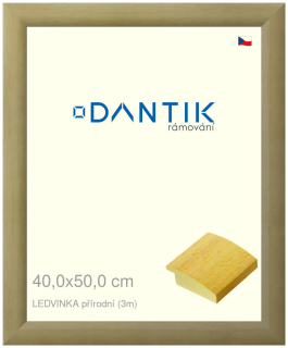 DANTIK rám na obraz 40x50 | LEDVINKA přírodní (Plexi Čiré)