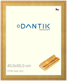DANTIK rám na obraz 40x50 | LYON zlatá (Plexi Čiré)