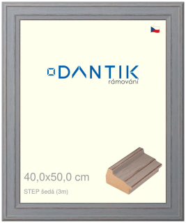 DANTIK rám na obraz 40x50 | STEP šedá (Plexi Čiré)