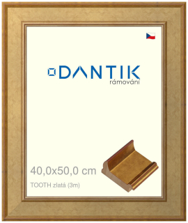 DANTIK rám na obraz 40x50 | TOOTH zlatá (Plexi Čiré)