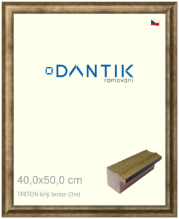 DANTIK rám na obraz 40x50 | TRITON bílý bronz (Plexi Čiré)