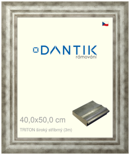 DANTIK rám na obraz 40x50 | TRITON široký stříbrný (Plexi Čiré)