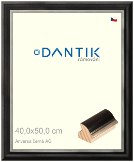 DANTIK rám na obraz 40x50 | ANIVERSA černá AG (Plexi Čiré)
