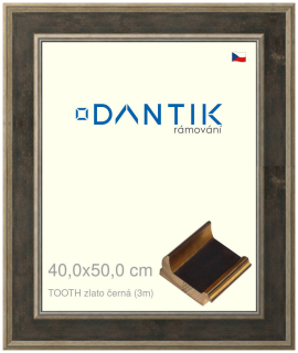DANTIK rám na obraz 40x50 | TOOTH zlato černá (Plexi Čiré)
