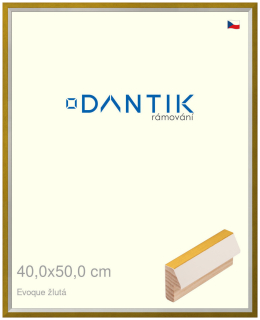 DANTIK rám na obraz 40x50 | EVOQUE žlutá (Plexi Čiré)