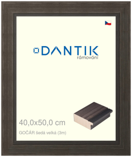 DANTIK rám na obraz 40x50 | Gočár šedá velká (Plexi Čiré)
