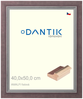 DANTIK rám na obraz 40x50 | AMALFI fialová (Plexi Čiré)