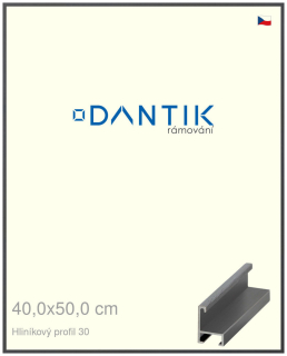 DANTIK rám na obraz 40x50 | ALU Dýha barevná šedá tmavá (Plexi Čiré)