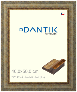DANTIK rám na obraz 40x50 | ZVRATNÁ bílozlatá plast (Plexi Čiré)