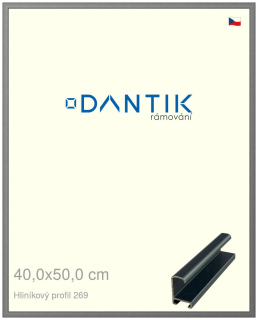 DANTIK rám na obraz 40x50 | ALU Platina matná (Plexi Čiré)