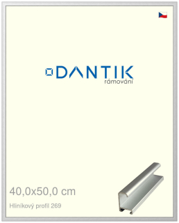 DANTIK rám na obraz 40x50 | ALU Stříbrná matná (Plexi Čiré)