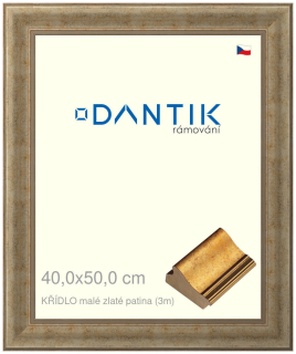 DANTIK rám na obraz 40x50 | KŘÍDLO malé zlaté patina (Plexi Čiré)