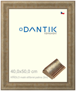 DANTIK rám na obraz 40x50 | KŘÍDLO malé stříbrné patina (Plexi Čiré)