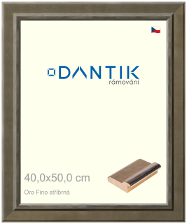 DANTIK rám na obraz 40x50 | Oro Fino stříbrná (Plexi Čiré)