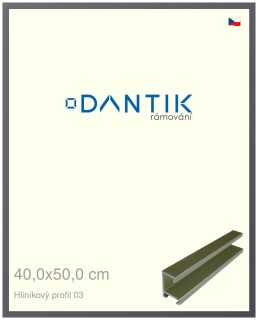 DANTIK rám na obraz 40x50 | ALU Platina matná (Plexi Čiré)