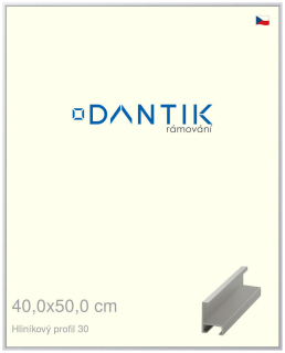 DANTIK rám na obraz 40x50 | ALU Stříbrná matná (Plexi Čiré)