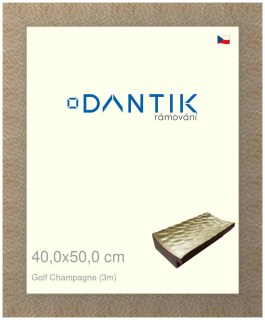 DANTIK rám na obraz 40x50 | Golf champagne (Plexi Čiré)