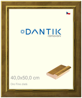 DANTIK rám na obraz 40x50 | Oro Fino zlatá (Plexi Čiré)
