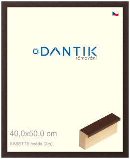 DANTIK rám na obraz 40x50 | KASSETTE hnědá (Plexi Čiré)