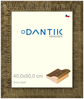 DANTIK rám na obraz 40x50 | Dora Gold (Plexi Čiré)