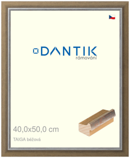 DANTIK rám na obraz 40x50 | TAIGA béžová (Plexi Čiré)
