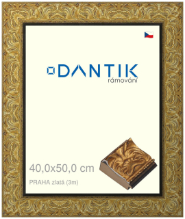 DANTIK rám na obraz 40x50 | PRAHA zlatá (Plexi Čiré)