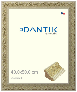 DANTIK rám na obraz 40x50 | Claico 3 (Plexi Čiré)
