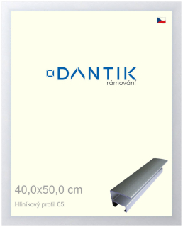 DANTIK rám na obraz 40x50 | ALU Stříbrná matná (Plexi Čiré)