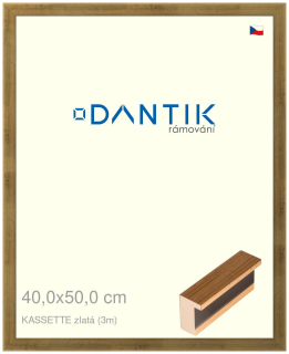 DANTIK rám na obraz 40x50 | KASSETTE zlatá (Plexi Čiré)