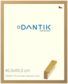 DANTIK rám na obraz 40x50 | KASSETTE přírodní lakovaná (Plexi Čiré)