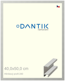 DANTIK rám na obraz 40x50 | ALU Stříbrná matná (Plexi Čiré)
