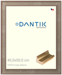 DANTIK rám na obraz 40x50 | TOOTH malá stříbrná (Plexi Čiré)