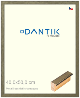 DANTIK rám na obraz 40x50 | Metalli oidati champagne (Plexi Čiré)