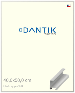 DANTIK rám na obraz 40x50 | ALU Stříbrná matná (Plexi Čiré)