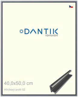 DANTIK rám na obraz 40x50 | ALU Platina matná (Plexi Čiré)