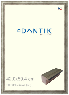 DANTIK rám na obraz 42x59,4 | TRITON stříbrná (Plexi Čiré)