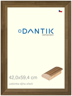 DANTIK rám na obraz 42x59,4 | LEDVINKA dýha ořech (Plexi Čiré)