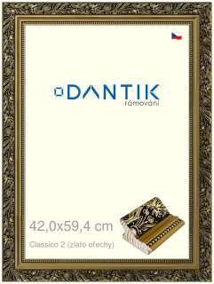DANTIK rám na obraz 42x59,4 | Claico 2 (zlato ořechy) (Plexi Čiré)