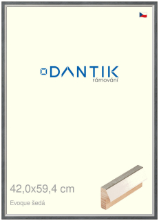 DANTIK rám na obraz 42x59,4 | EVOQUE šedá (Plexi Čiré)