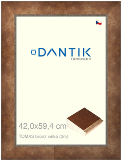 DANTIK rám na obraz 42x59,4 | TOMAS bronz velká (Plexi Čiré)